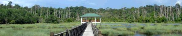 lugan-lalak.jpg Brunei travel and tours and hotel reservations