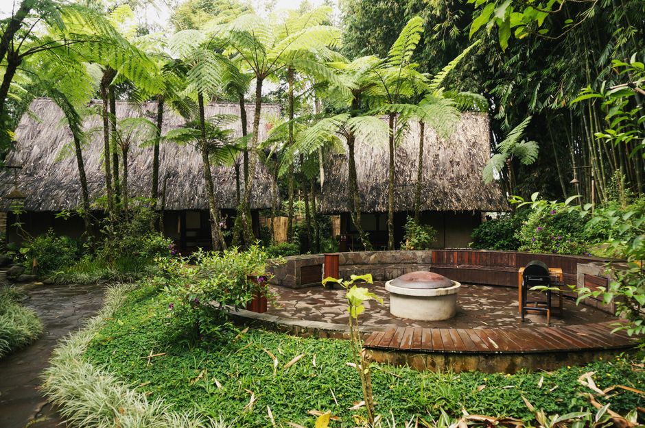 Freme Rainforest Lodge (Temburong District)