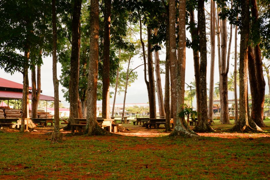 Sungai Basong Recreation Park
