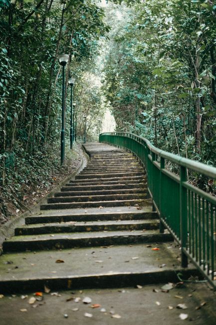 Tasek Lama Recreational Park: A lush urban park with walking trails and a waterfall, located just outside the city center.