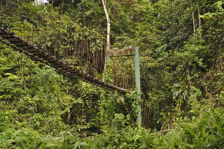 Ulu Temburong National Park: Known as the 
