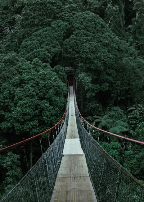 Ulu Temburong National Park: Known as the 